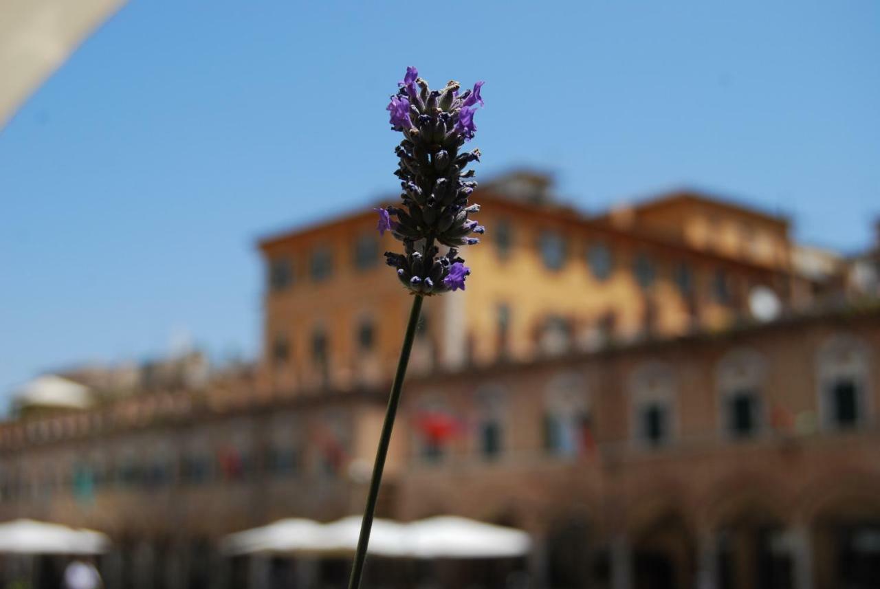 Bed and Breakfast A Casa Di Lola Ascoli Piceno Exterior foto